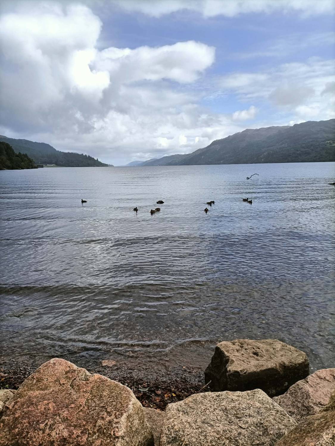 Quelques canards sur un loch bordé de collines, sous un ciel nuageux
